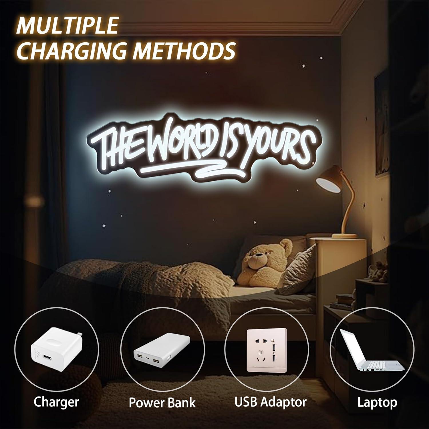 The World is Yours Neon Sign U - Neon Sign Party review and price